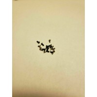 screw set for Asus Zenfone Max M1 ZB555KL X00PD